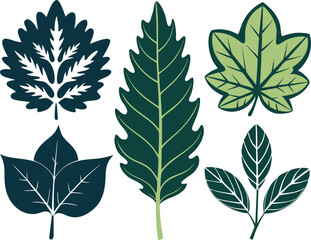 Vector Silhouette Icon Set of Oak and Summer Leaves in Green Tones