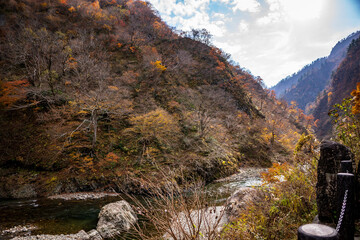 紅葉の清津峡