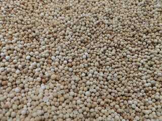 close up of coriander seeds