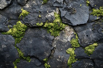 Obraz premium Closeup of Lichen on Weathered Rock Surface for Natural Texture and Organic Patterns : Generative AI