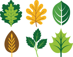 Fototapeta premium Vector Silhouette Icon Set of Oak and Summer Leaves in Green Tones