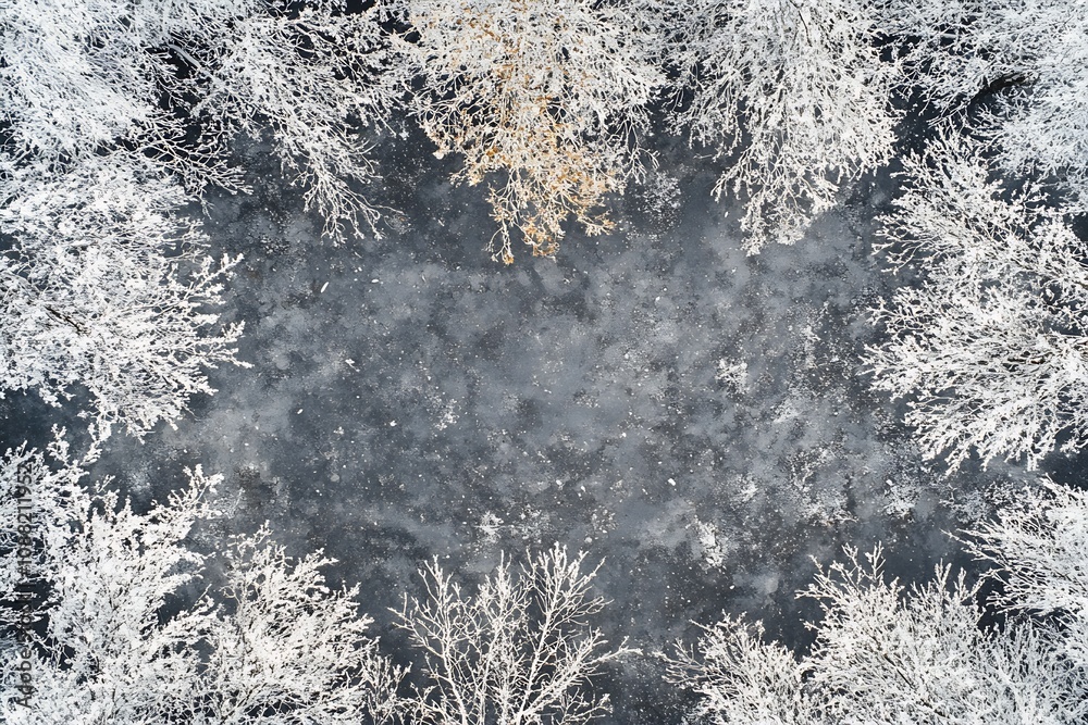 Poster aerial view of snow covered forest clearing in winter wilderness serenity and solitude : generative 