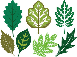 Vector Silhouette Icon Set of Oak and Summer Leaves in Green Tones