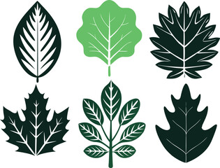 Vector Silhouette Icon Set of Oak and Summer Leaves in Green Tones