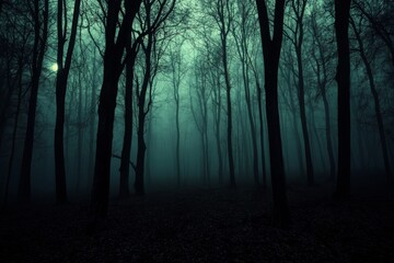 Fototapeta premium Mysterious and Enigmatic Forest Scene Shrouded in Fog with Tall, Bare Trees and a Dim Light Creating an Atmospheric and Haunting Mood for Nature Photography