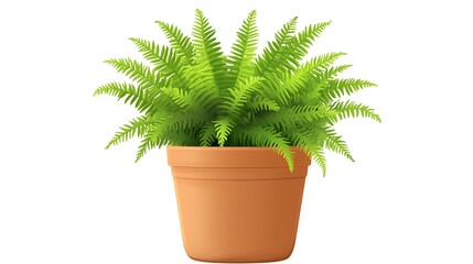 Fototapeta premium Potted Fern Plant with Green Foliage