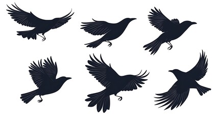 Obraz premium Silhouettes of Birds in Flight
