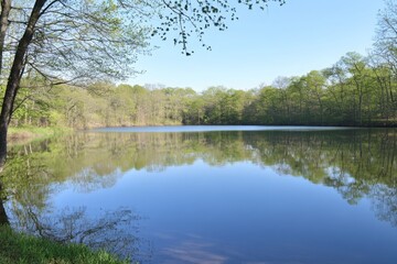 Fototapeta premium Tranquil Reflection of Lush Trees and Clear Blue Sky Over Calm Lake Surrounded by Nature in Springtime Serenity