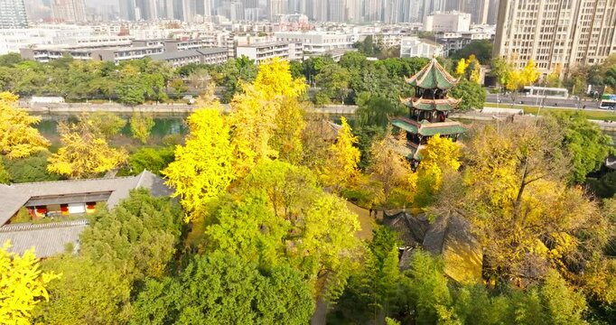autumn park with yellow color in Chengdu China