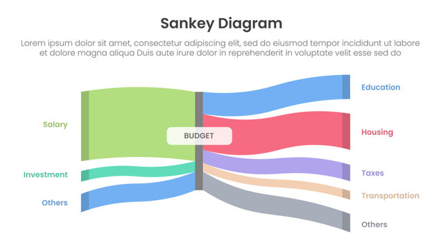 sankey diagram infographic template banner with blood vessels on center for financial budget for slide presentation