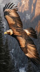 a Haast&rsquo;s Eagle diving swiftly through the sky, its wings tucked in as it prepares to strike. 