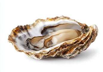 Close-Up of an Open Oyster Shell Displaying Its Iridescent Interior and Plump Flesh, Showcasing the Natural Beauty of Marine Life and Sea Food Delicacies