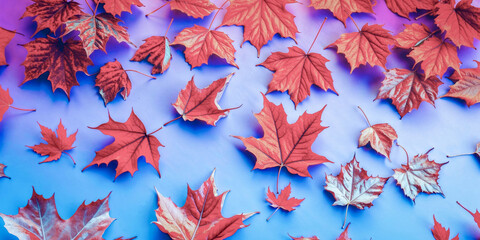 Fototapeta premium Orange Red Leaf's Background