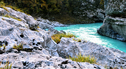 waterfall in the forest