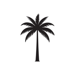 palm tree silhouette. Black palm silhouettes. Tropical trees shadows. Variety beach palms with leaves.