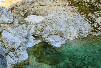 lichen on rock
