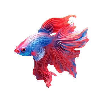 cute 3d cartoon betta fish with funny pose isolated on transparent background