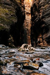 The narrows in Zion Utah