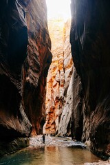 Hiking the narrows in Zion