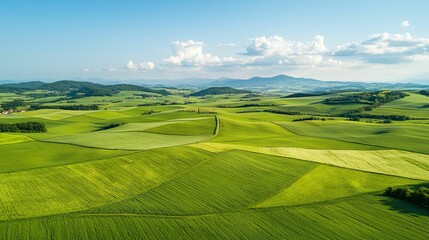 Fototapeta premium horticulture botany and techniques, A lush, expansive landscape featuring rolling green fields under a bright blue sky with distant mountains in the background.