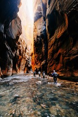 Hiking the narrows in Zion