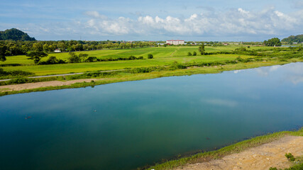Breathtaking aerial drone view of waterway canal near green paddy crops land at Kampung Wai, Perlis, Malaysia