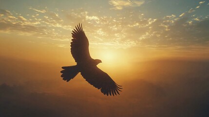 Obraz premium A majestic falcon flying high in the dynamic sky during sun rise time, natural lighting,