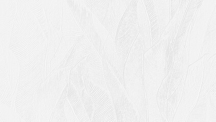 white paper texture