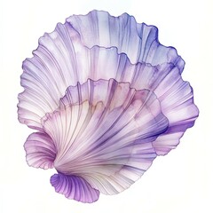 Fototapeta premium Delicate purple and white shell showcasing intricate patterns and textures against a minimalist background