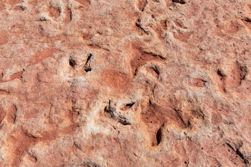 Navajo Moenave Dinosaur Tracks, Arizona – Ancient Fossil Footprints on Navajo Nation, a Fascinating Paleontological Landmark in the Southwest Desert