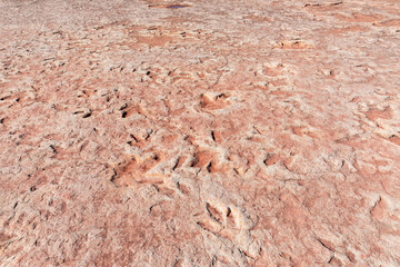 Navajo Moenave Dinosaur Tracks, Arizona – Ancient Fossil Footprints on Navajo Nation, a Fascinating Paleontological Landmark in the Southwest Desert