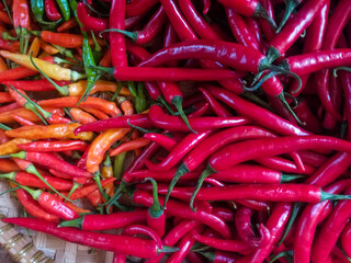 Close-up of fiery red and orange chili peppers for spicy recipes