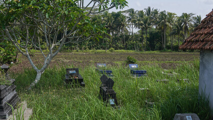 A serene cemetery filled with various grave markers scattered across a lush green landscape. The area is surrounded by tall trees and gentle hills, creating a peaceful atmosphere