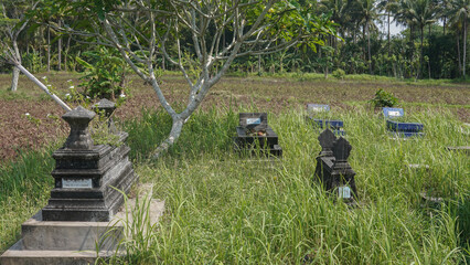 A serene cemetery filled with various grave markers scattered across a lush green landscape. The area is surrounded by tall trees and gentle hills, creating a peaceful atmosphere