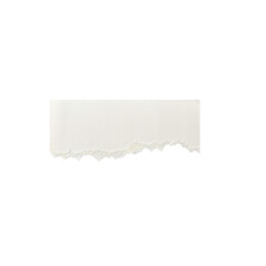 white torn or ripped paper