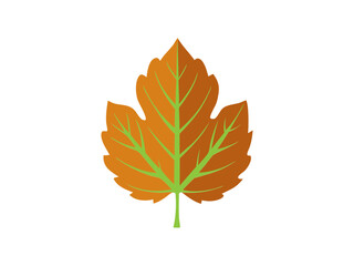 Naklejka premium Vector Silhouette Icon Set of Maple Leaves in Autumn Colors 