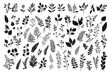 Obraz premium Set of black and white silhouettes of tropical leaves isolated on white background, png cut out.