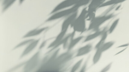 Obraz premium Closeup of soft leaves shadows on a wall.