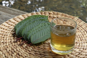 Fresh kratom leaves or mitragyna speciosa and a glass of kratom tea