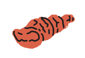 Red Sea Shell Vector Drawing