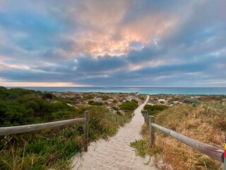 Fototapeta premium path to the sea