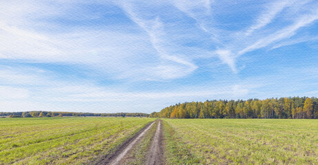 Road runs through a field with trees in the background