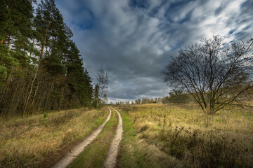 A road in a field with trees in the background