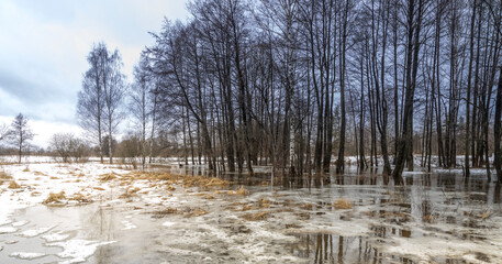 Snowy field with a few trees and a body of water