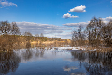 Calm lake with trees in the background