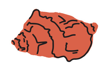 Detailed hand drawn conch shell