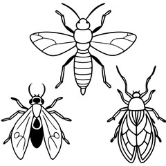 set of insects isolated on black vector art 