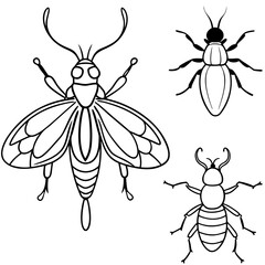 set of insects isolated on black vector art 