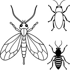 set of insects isolated on black vector art 