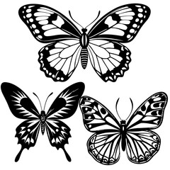 set of butterflies